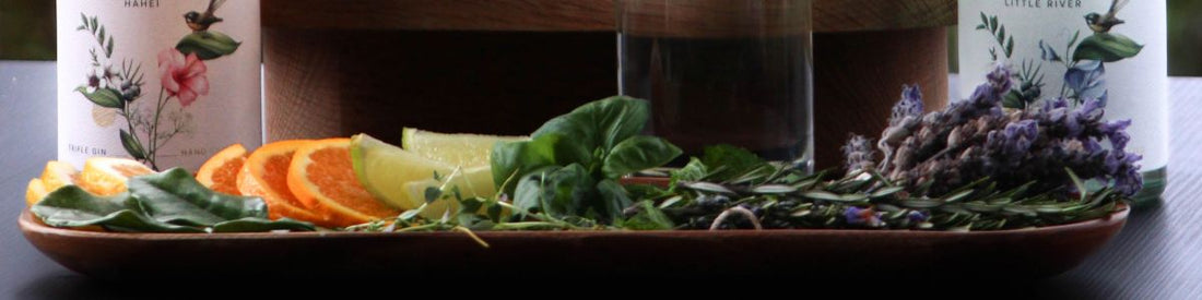 My Favourite New Zealand Gins From 2022